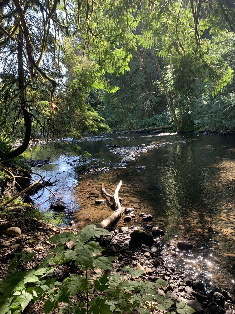 Beautiful local hikes 