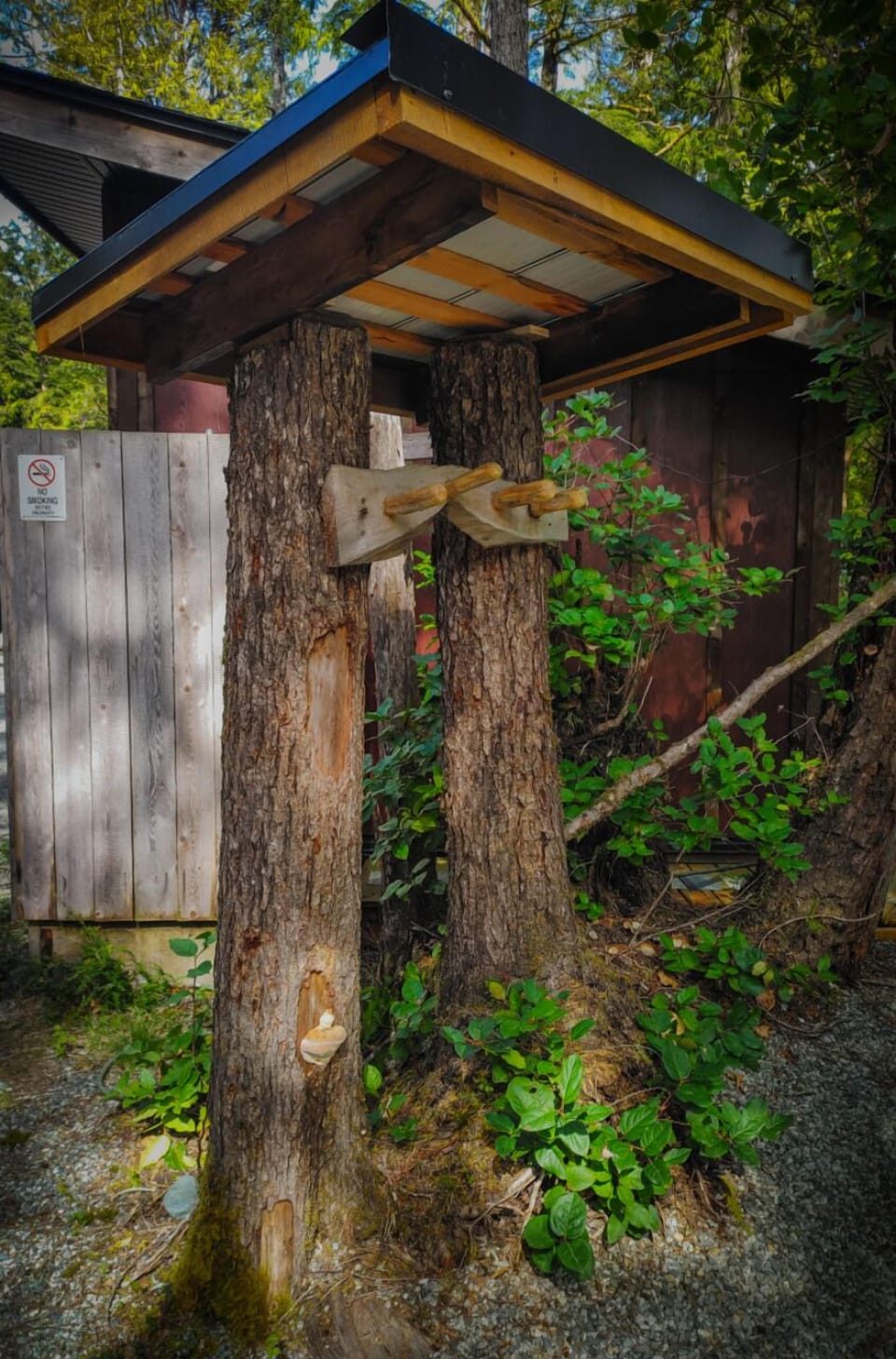 Hang your robe and hop it!