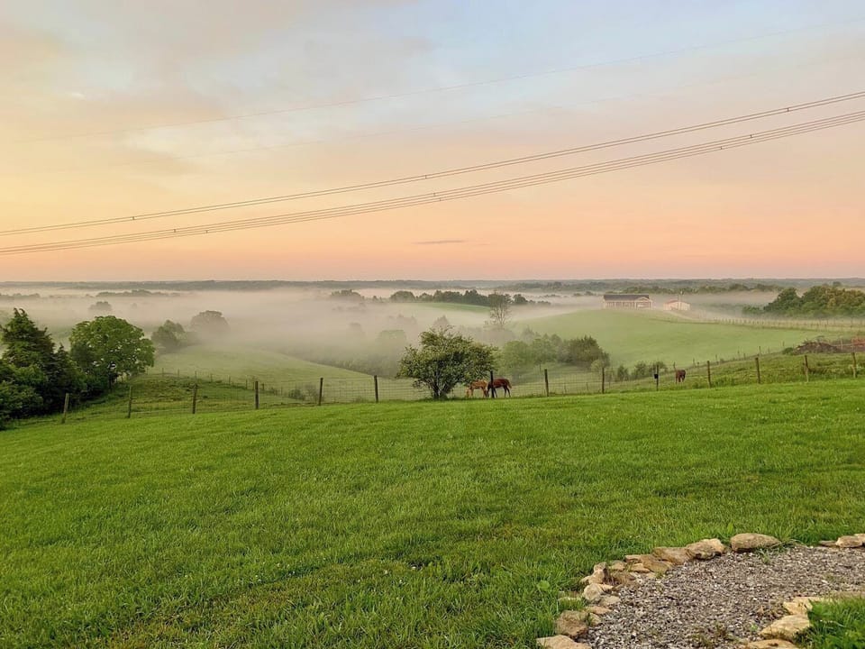 The peaceful view from the 1.5 acre backyard makes this home special. Kids love running around and taking in the fresh, country air. And the friendly horses next door often wander over to our fence to say hello.