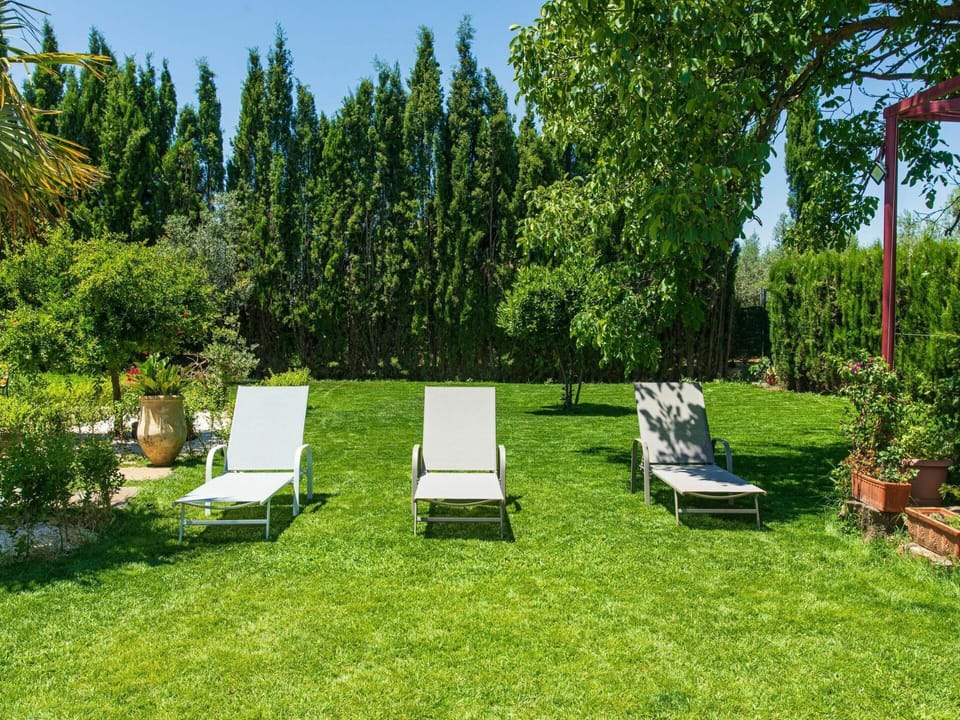 Plant, Sky, Plant Community, Natural Landscape, Tree, Outdoor Furniture, Land Lot, Grass, Shade, Woody Plant
