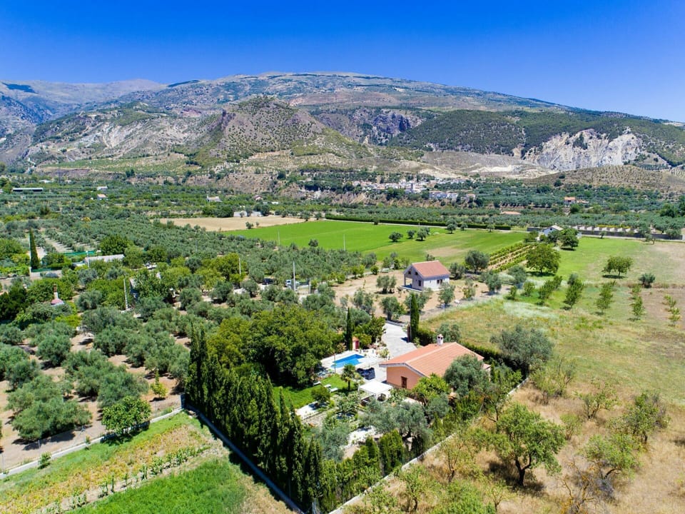 Sky, Plant, Mountain, Property, Plant Community, Natural Landscape, Tree, Land Lot, Vegetation, Grass