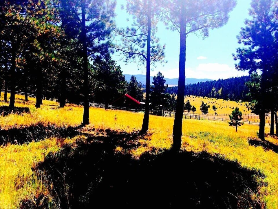 BARN , PADDOCKS AND ROUND PEN