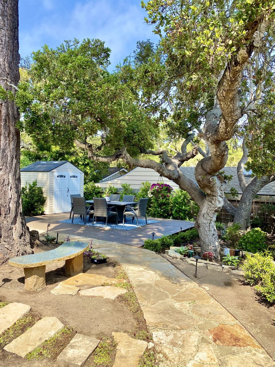 Old growth Coastal live oaks line the property.