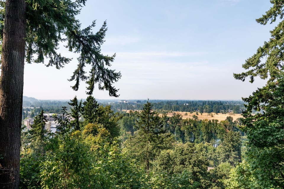 View from outdoor deck
