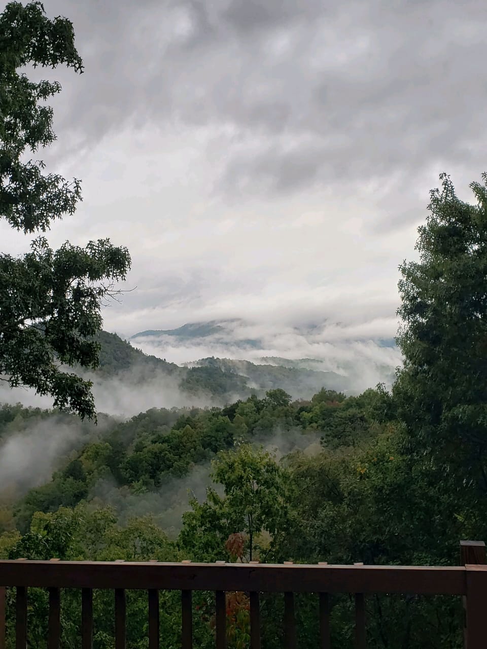 Ever changing deck views ❤