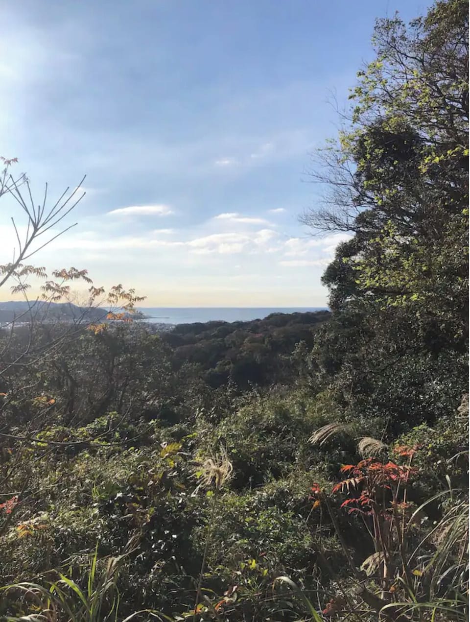 View from property