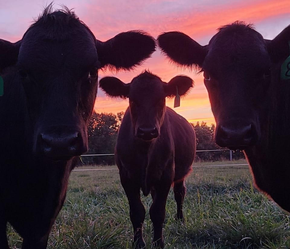 Spend time getting to know your neighbors