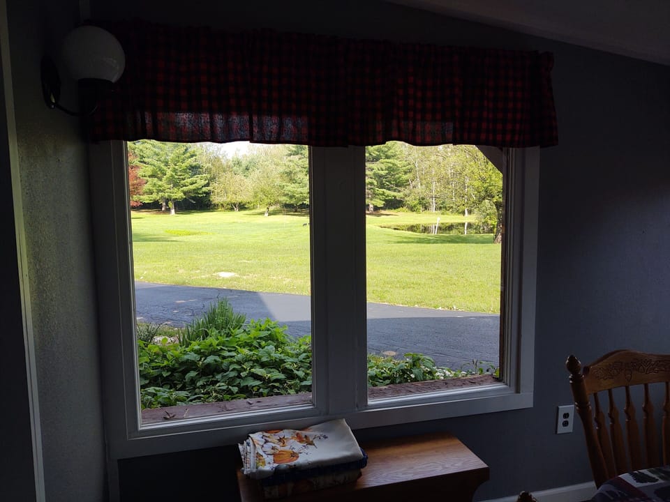 View from property