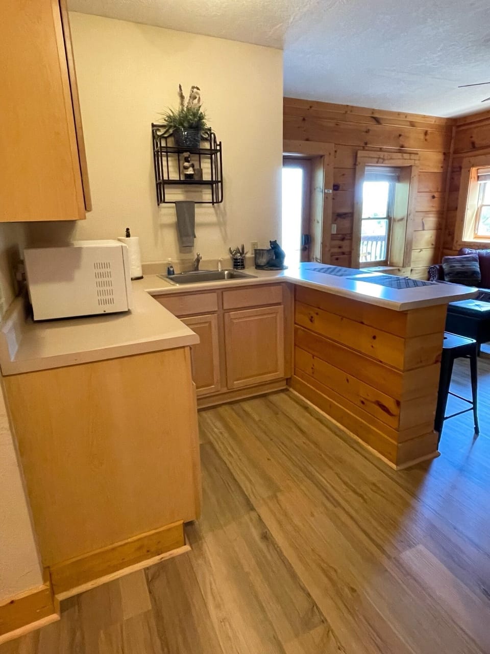 Lower level kitchenette
