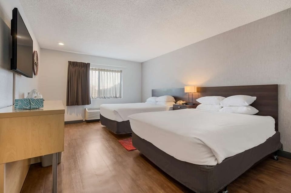 Stretch out comfortably in a bright room designed for deep rest