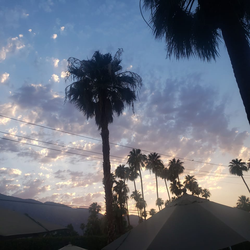 View from property