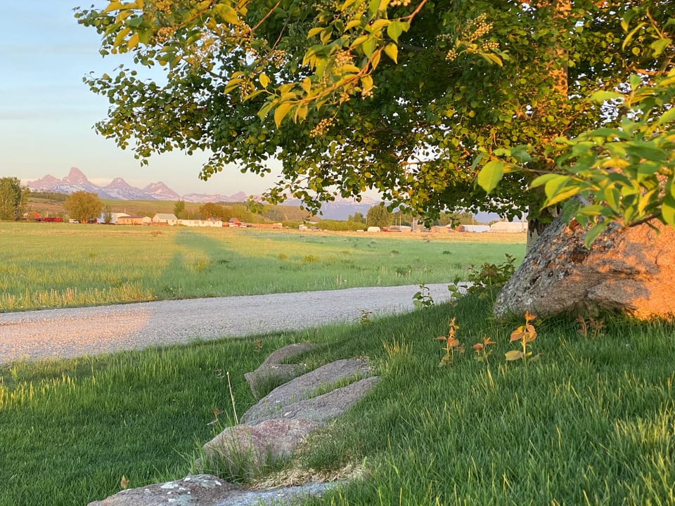 View of the Tetons from the front yard