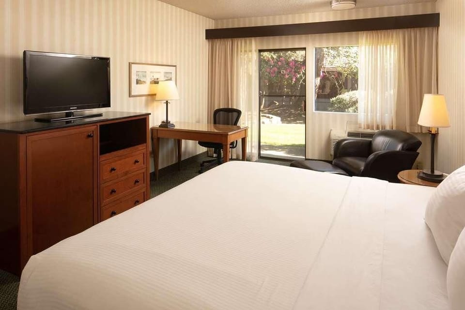 Wake refreshed with garden light spilling through wide windows.