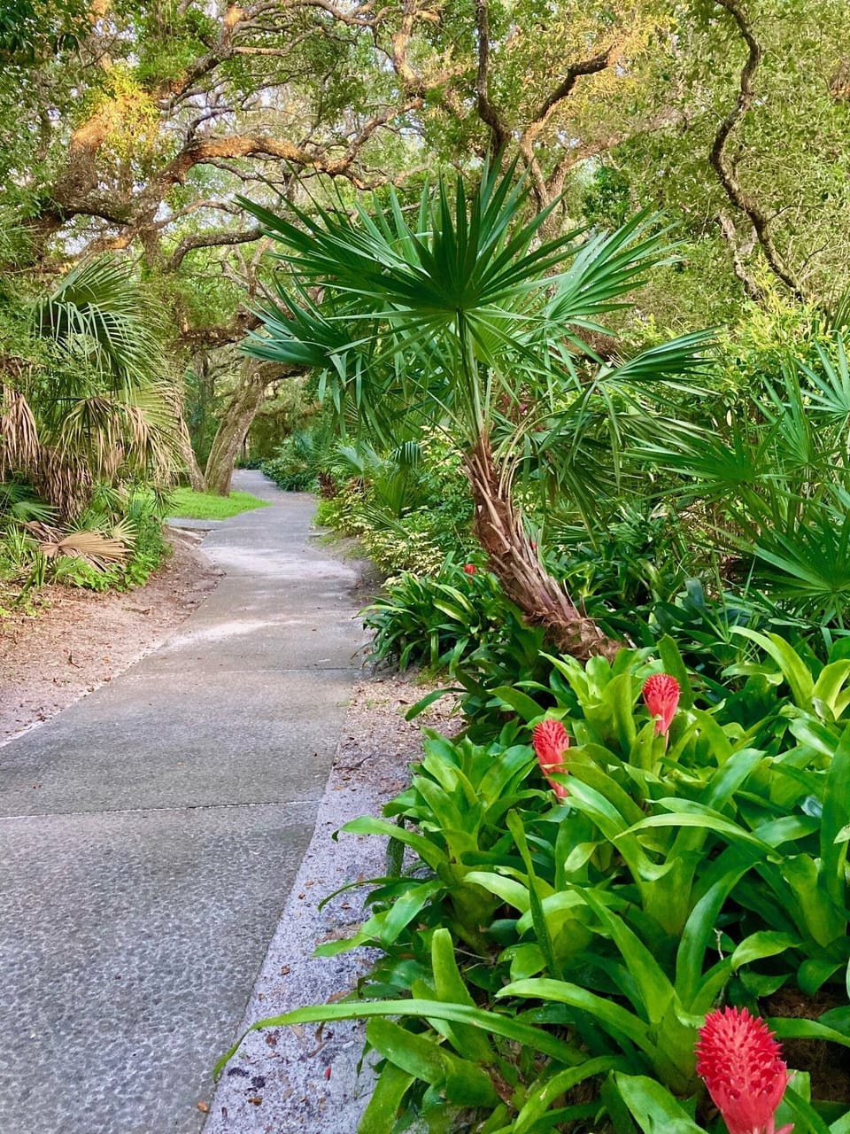 Walking paths