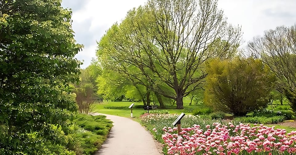 Stroll through serene greenery for a peaceful morning reset.