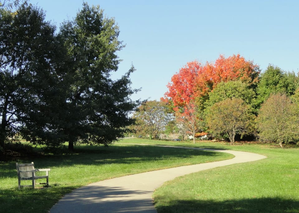 Stroll along quiet garden paths beneath vibrant, sunlit trees.