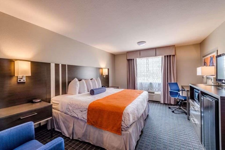 Unwind on plush king bedding in a bright, modern room.