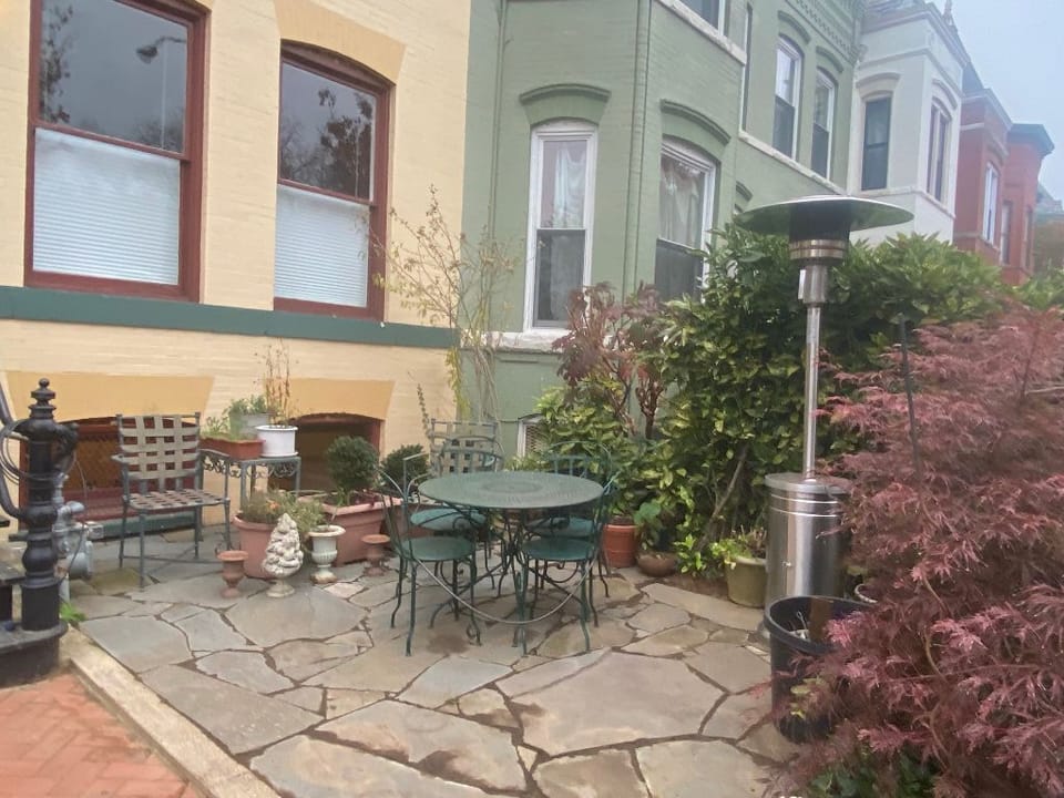 Garden
