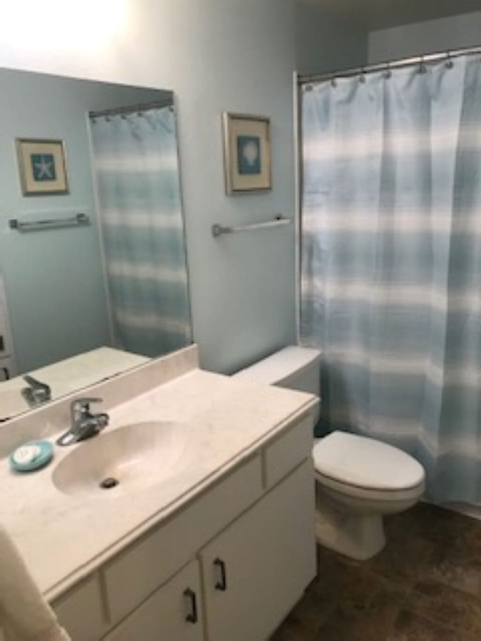 Guest bathroom