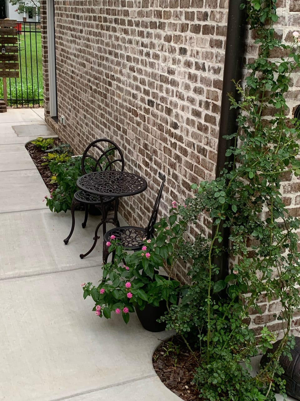 Private garden setting for morning tea or coffee in the alley. 