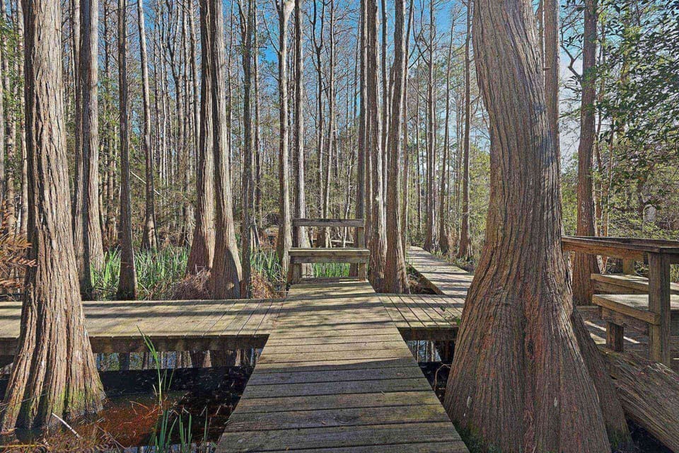 Cassine Gardens, a serene oasis in vibrant Seagrove Beach