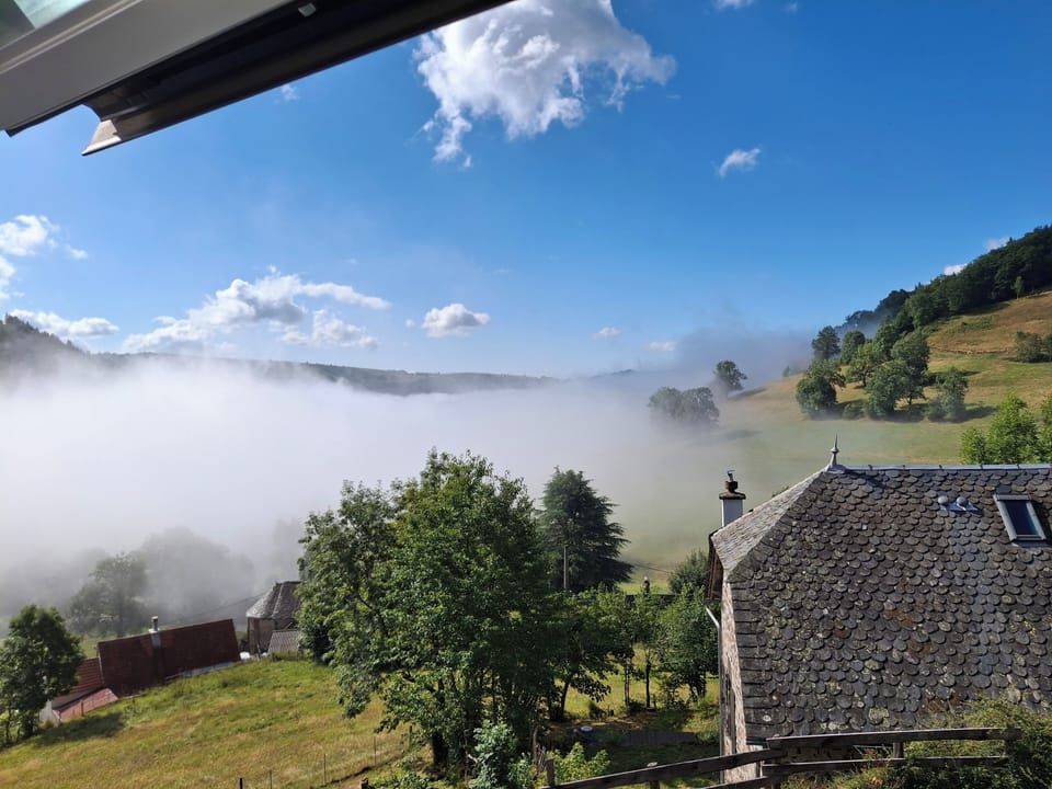 View from property