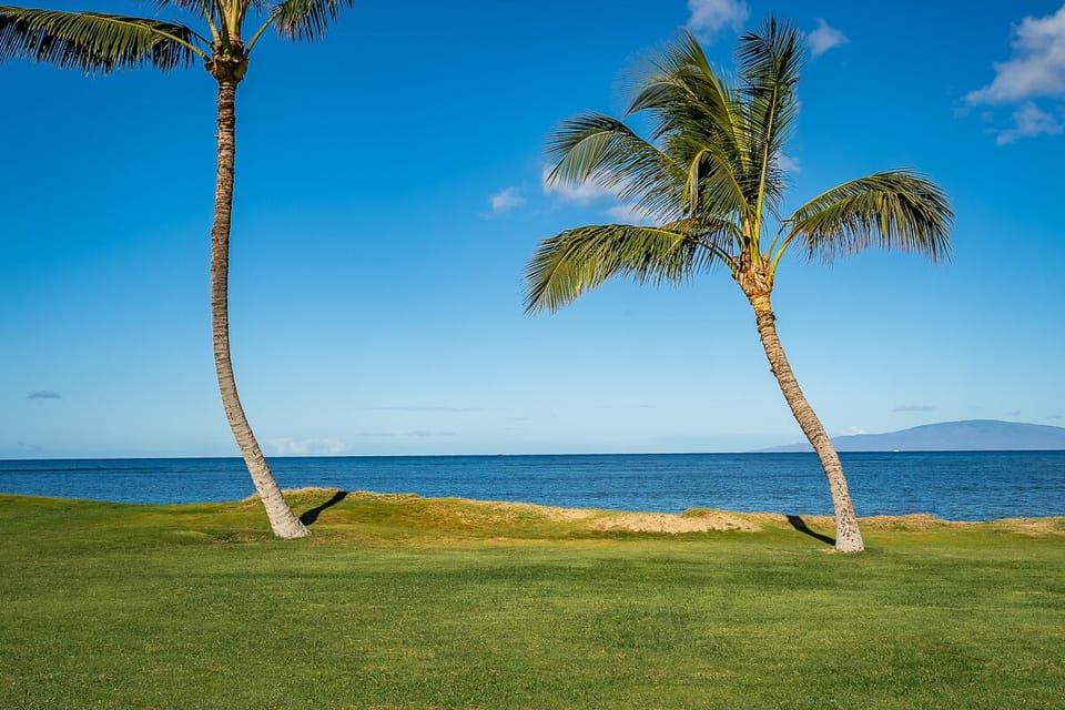 Marvelous Locale - When it comes to location, it doesn't get much better than this!