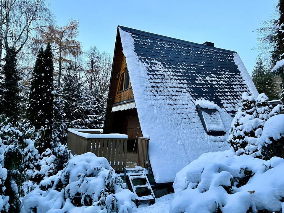 Sky, Snow, Building, House, Branch, World, Tree, Natural Landscape, Cottage, Biome