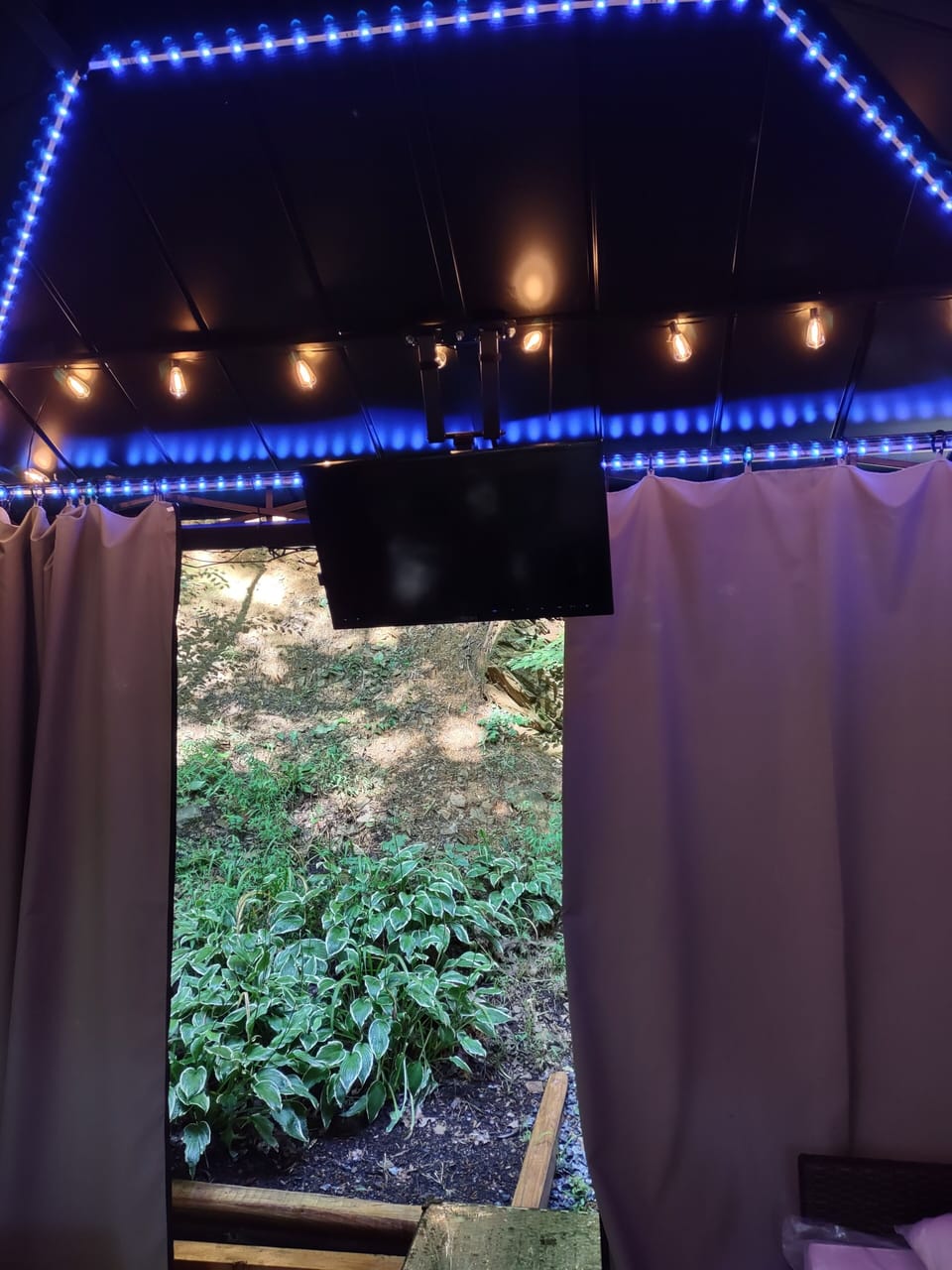 Television