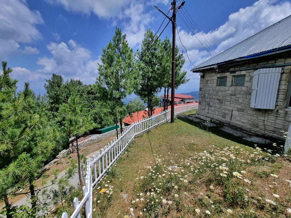 Side Lawn