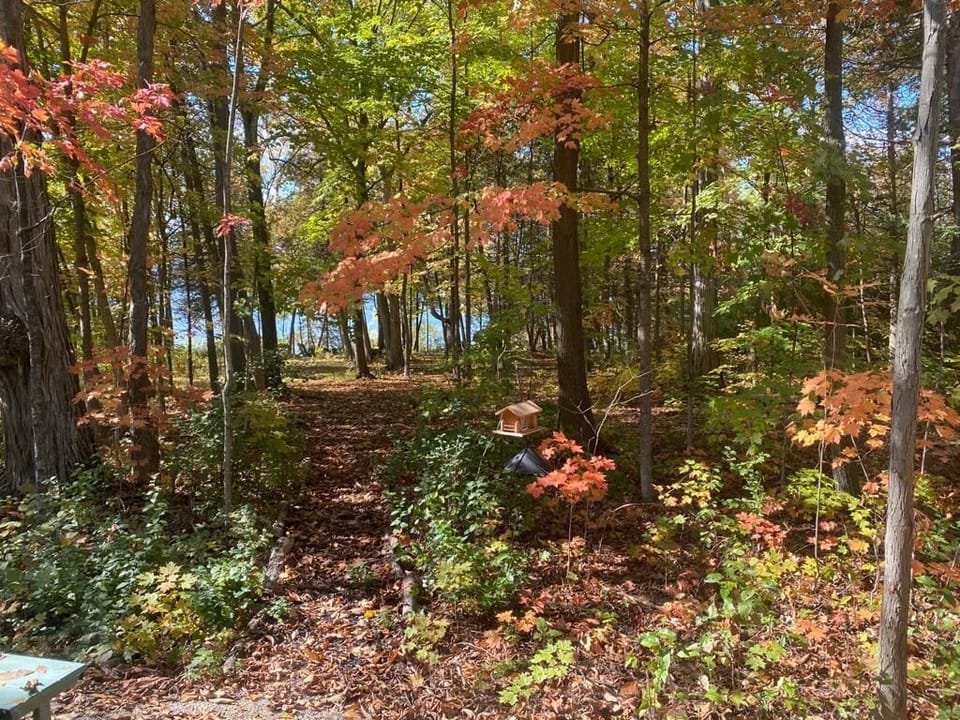 autumn view from the counter bar