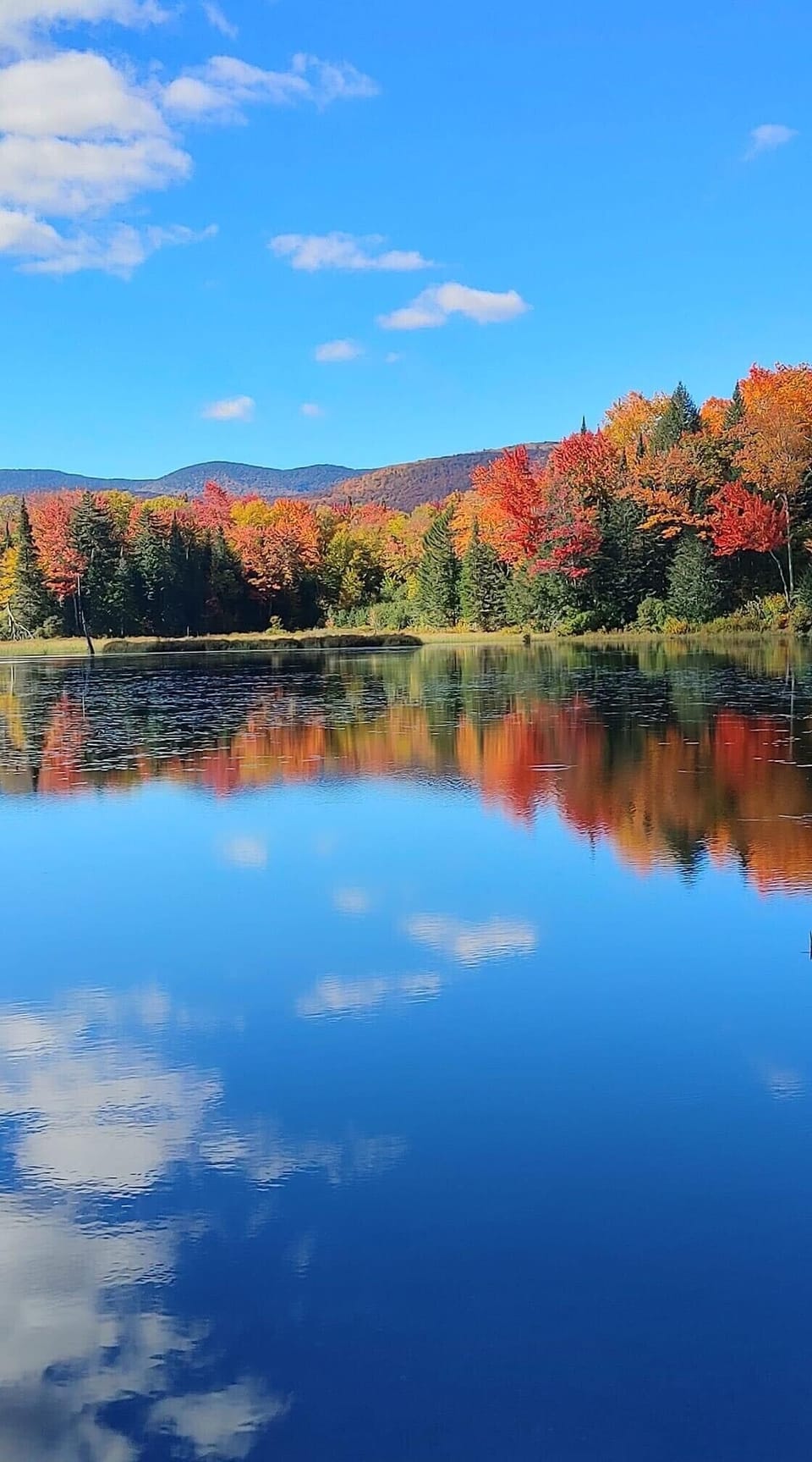 Fall colors