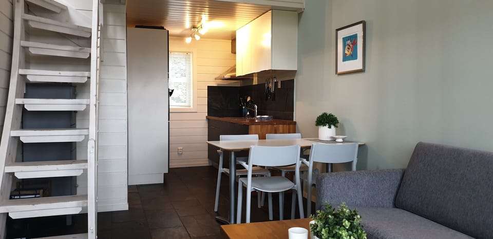 Living room combined with kitchen