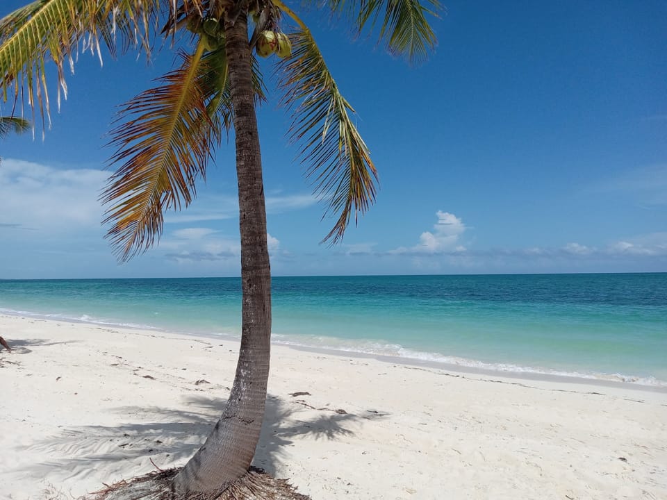This picture was taken at Coral Beach