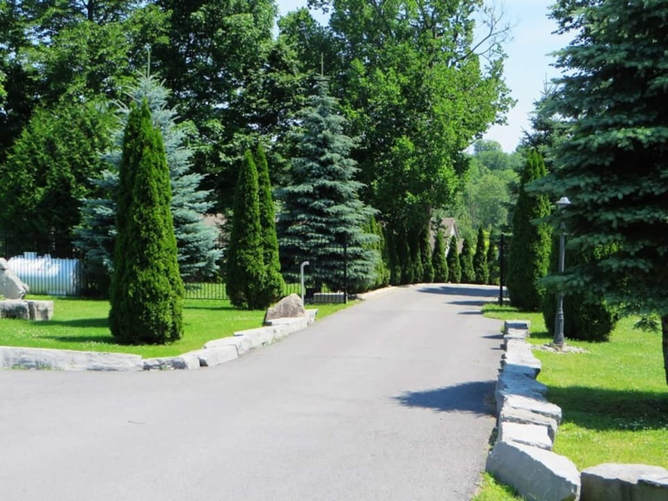 The Entrance