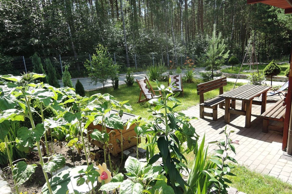 Garden [summer]
