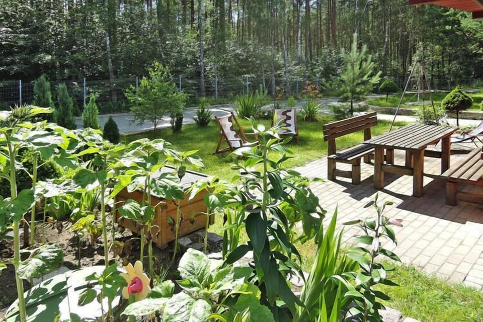 Garden [summer]