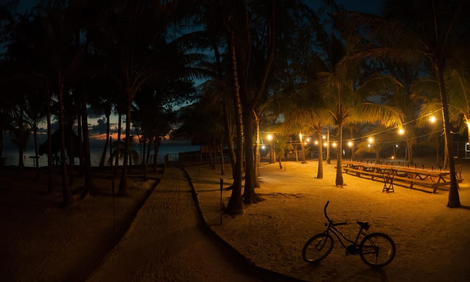 Thatch Caye Grove Night_3