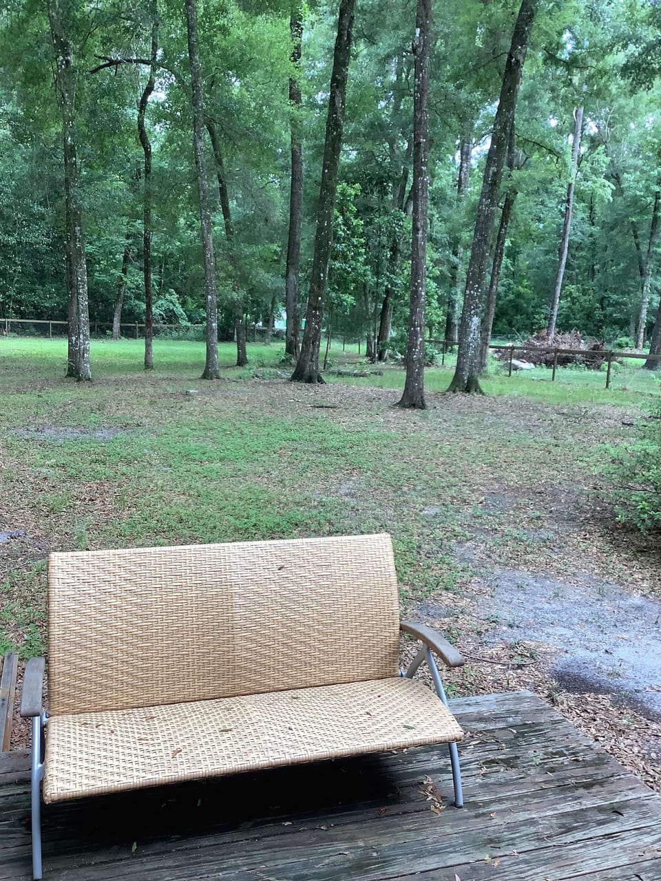 back yard