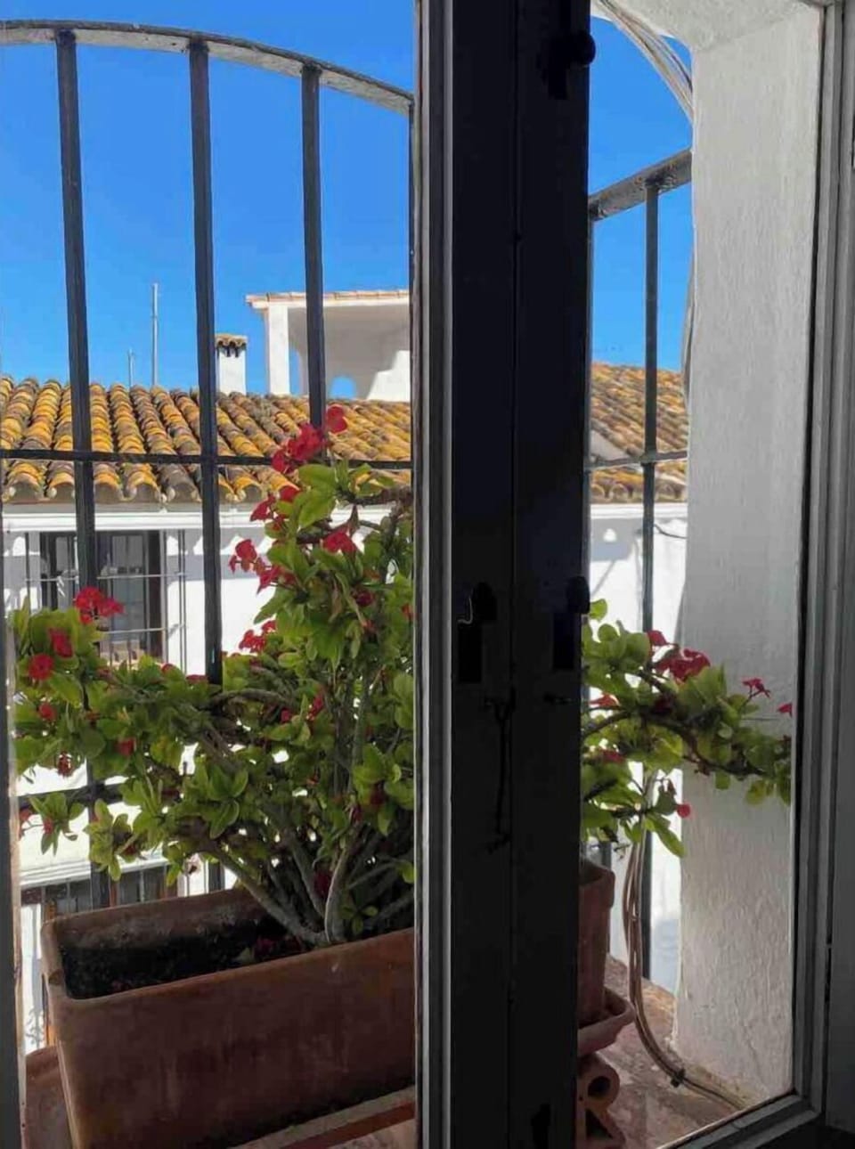 view out of the upstairs sitting room window