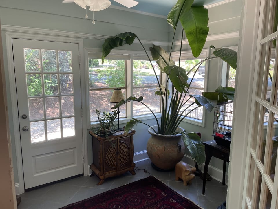 Wonderful light in the sunroom and great place to read a bood