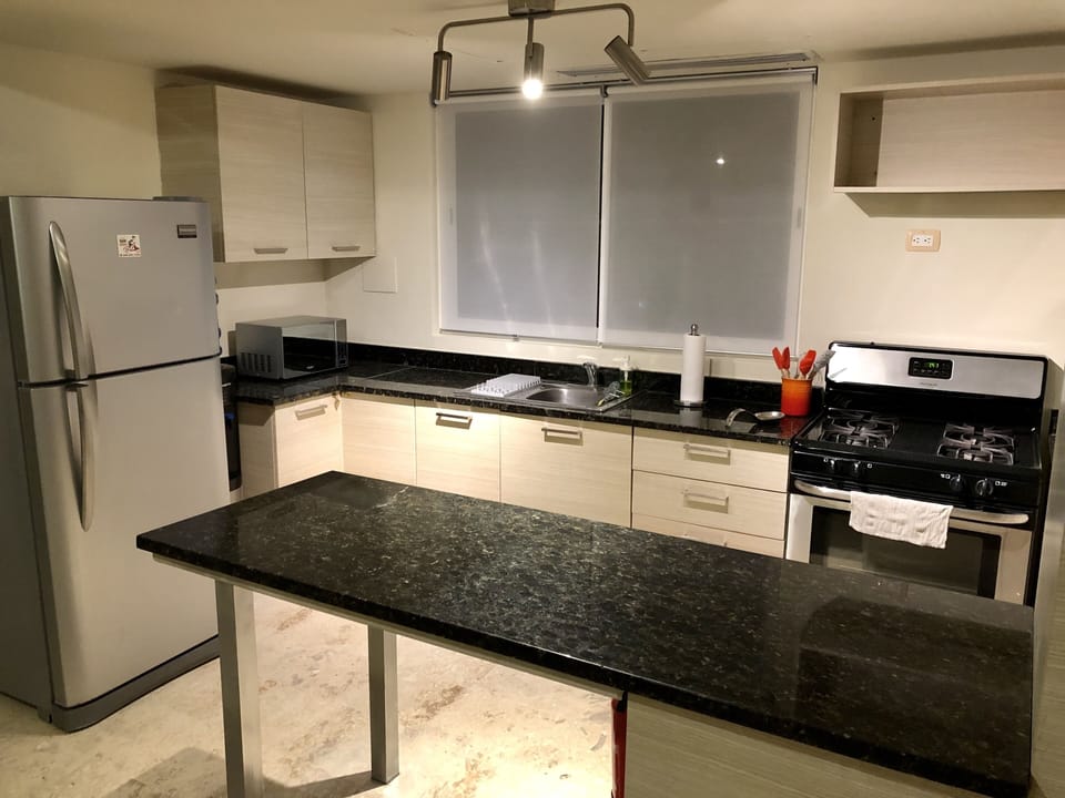 Open kitchen concept