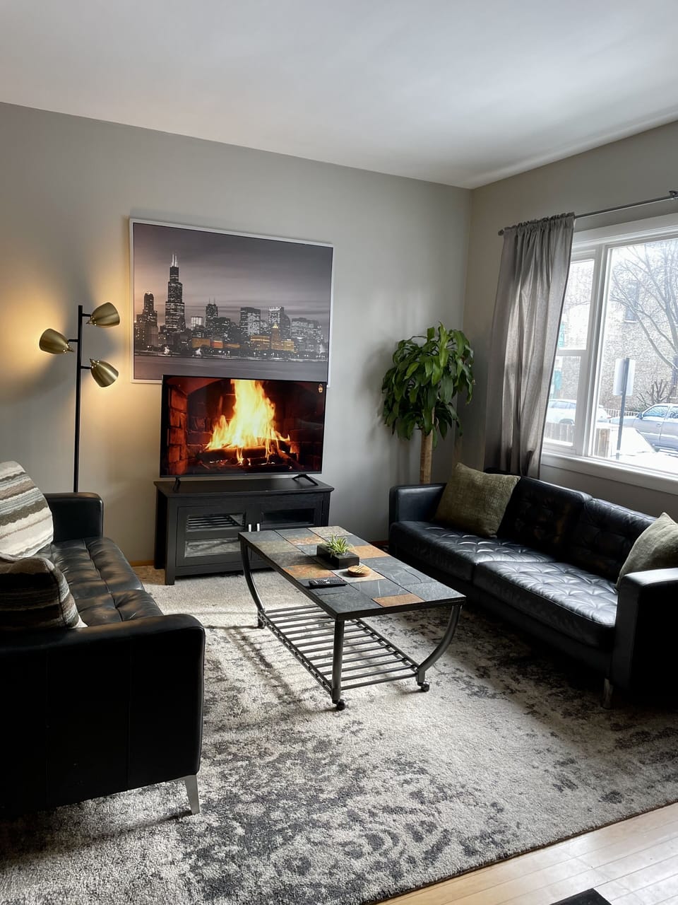 Sunny living room and a plush carpet
