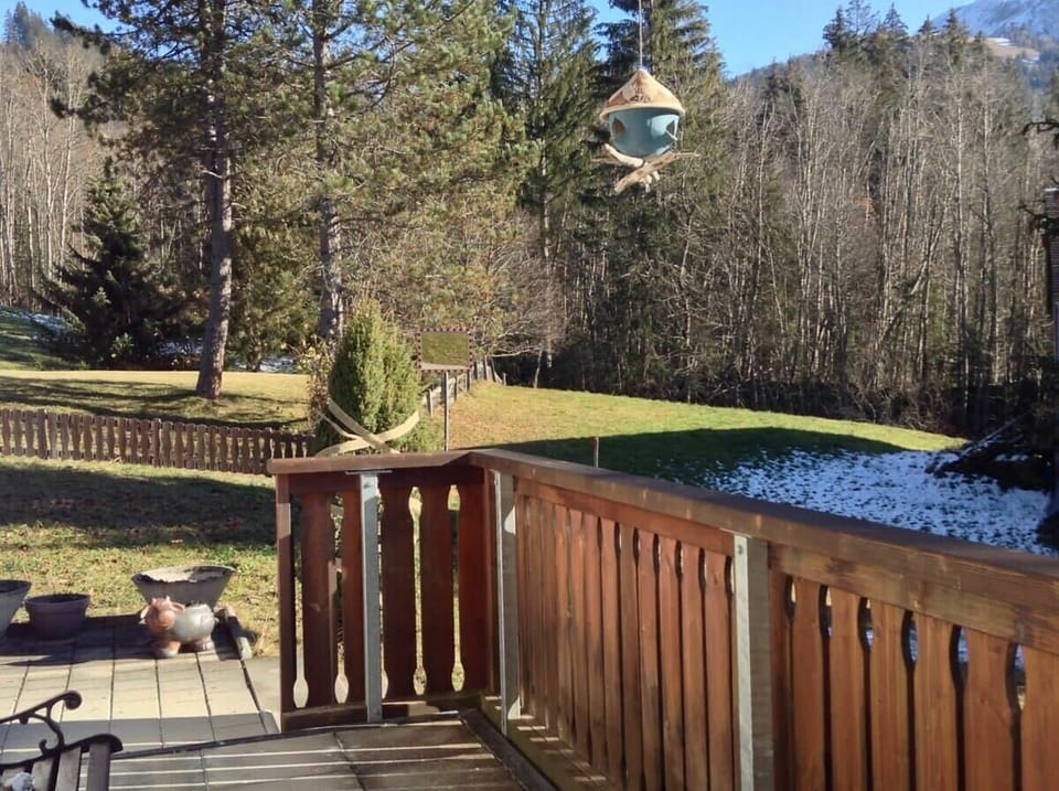 the patio and back yard 
