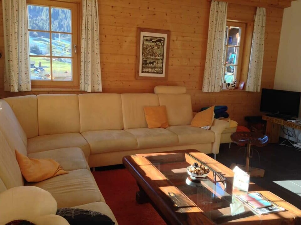 the lovely living room 