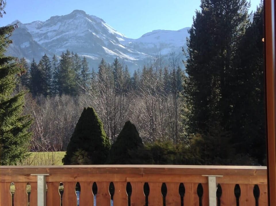 the stunning mountain views from the balcony 