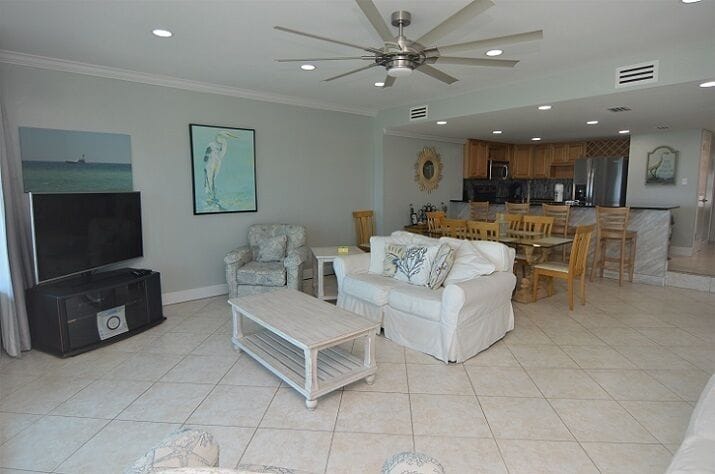 Living Room View