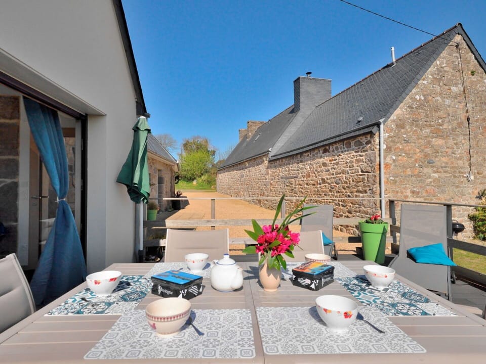 Plant, Table, Building, Daytime, Sky, Property, Window, Flowerpot, Flower, Tableware