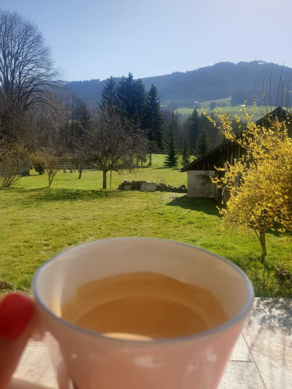 View from property