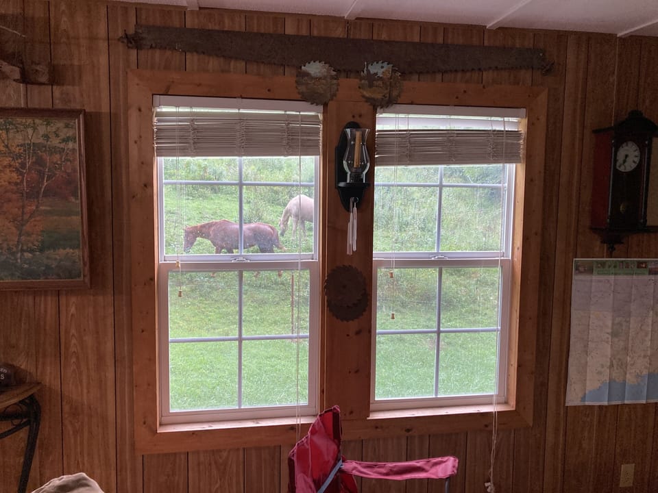 Window view of pasture from the living room/parlor. Animals available for view.